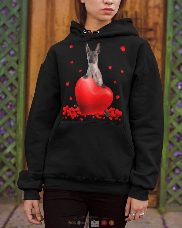 Valentine Hearts Xoloitzcuintli hoodie, shirt 6 Xoloitzcuintli Valentine Hearts shirt hoodie 1 2 3 4 5