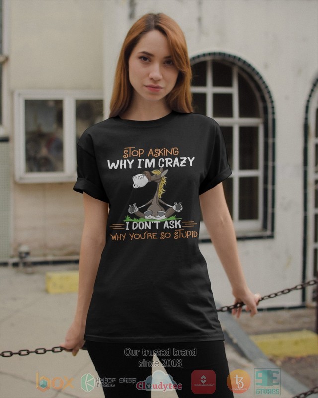 Stop asking why Im crazy I dont ask why youre so stupid 2d shirt hoodie 1 2