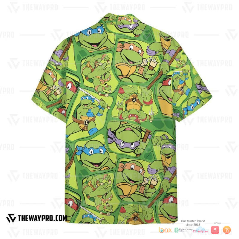 Teenage Mutant Ninja Turtles Characters Hawaiian shirt 2 Teenage Mutant Ninja Turtles Characters Hawaiian shirt 1