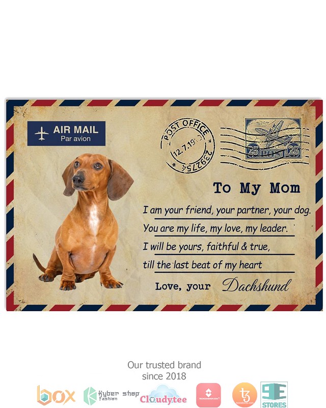 Air Mail To my mom Red Dachshund Poster