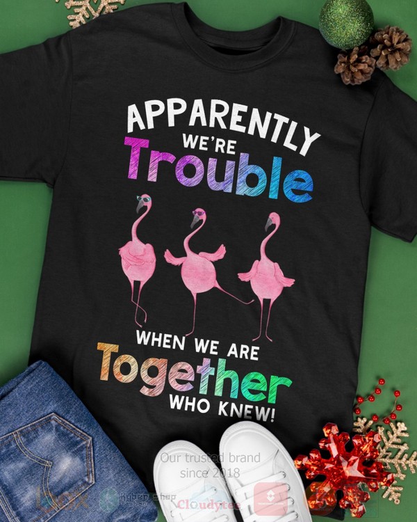 Flamingo Apparently Were Trouble When We Are To Gether Who Knew Hoodie Shirt 1