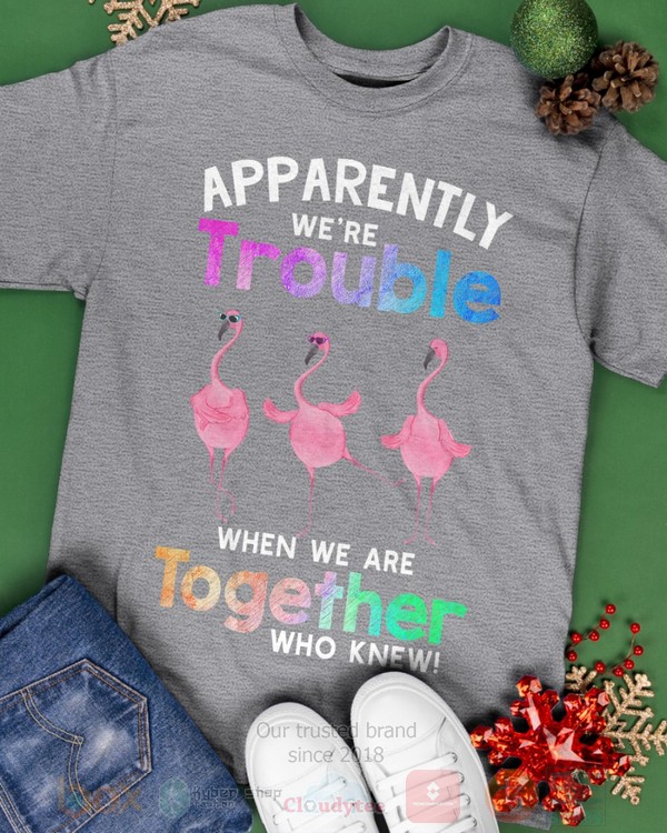 BEST Flamingo Apparently Were Trouble When We Are To Gether Who Knew Unisex Hoodie, Shirt 3 Flamingo Apparently Were Trouble When We Are To Gether Who Knew Hoodie Shirt 1 2
