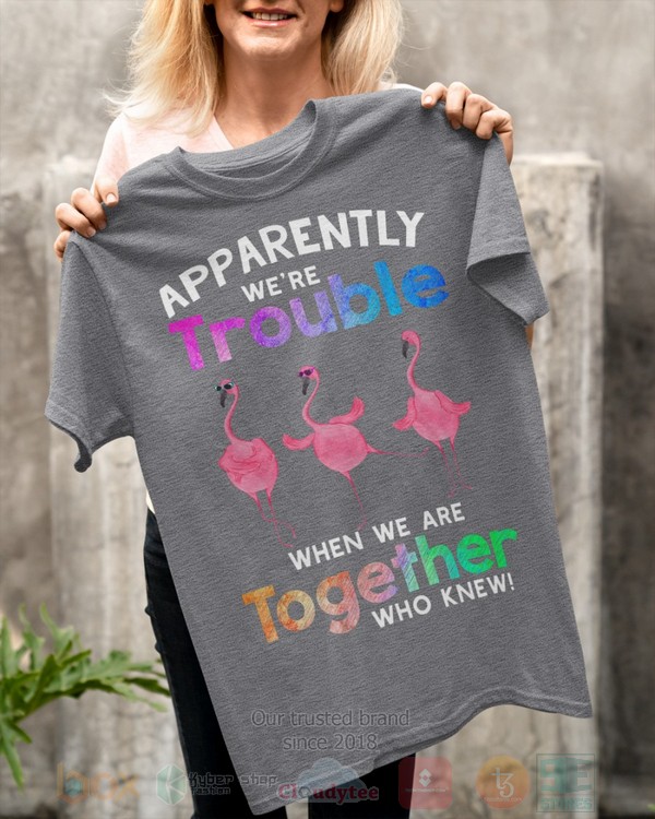 BEST Flamingo Apparently Were Trouble When We Are To Gether Who Knew Unisex Hoodie, Shirt 4 Flamingo Apparently Were Trouble When We Are To Gether Who Knew Hoodie Shirt 1 2 3