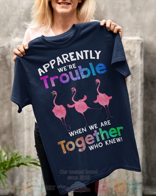 BEST Flamingo Apparently Were Trouble When We Are To Gether Who Knew Unisex Hoodie, Shirt 5 Flamingo Apparently Were Trouble When We Are To Gether Who Knew Hoodie Shirt 1 2 3 4