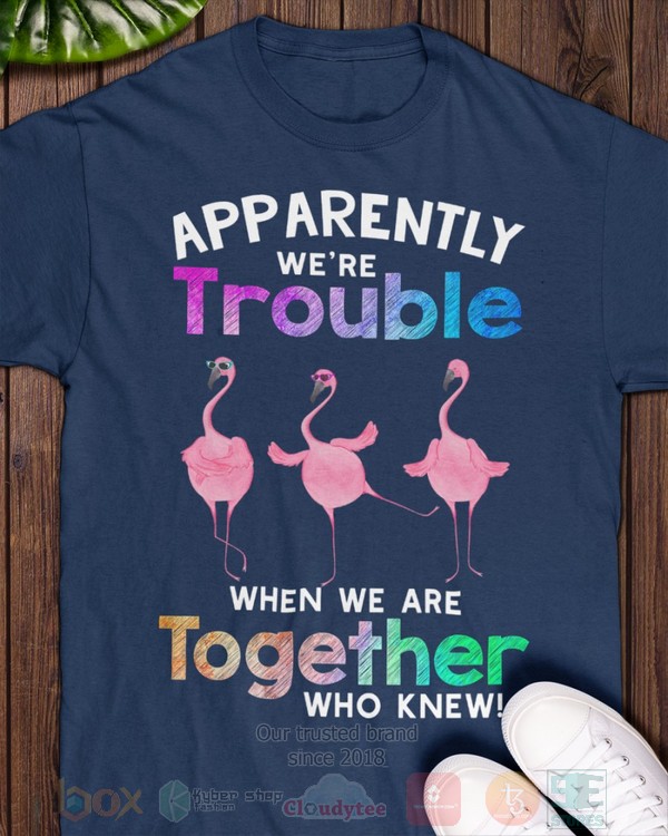 BEST Flamingo Apparently Were Trouble When We Are To Gether Who Knew Unisex Hoodie, Shirt 6 Flamingo Apparently Were Trouble When We Are To Gether Who Knew Hoodie Shirt 1 2 3 4 5