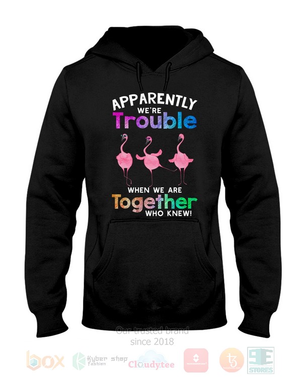BEST Flamingo Apparently Were Trouble When We Are To Gether Who Knew Unisex Hoodie, Shirt 7 Flamingo Apparently Were Trouble When We Are To Gether Who Knew Hoodie Shirt 1 2 3 4 5 6