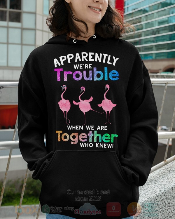 BEST Flamingo Apparently Were Trouble When We Are To Gether Who Knew Unisex Hoodie, Shirt 8 Flamingo Apparently Were Trouble When We Are To Gether Who Knew Hoodie Shirt 1 2 3 4 5 6 7