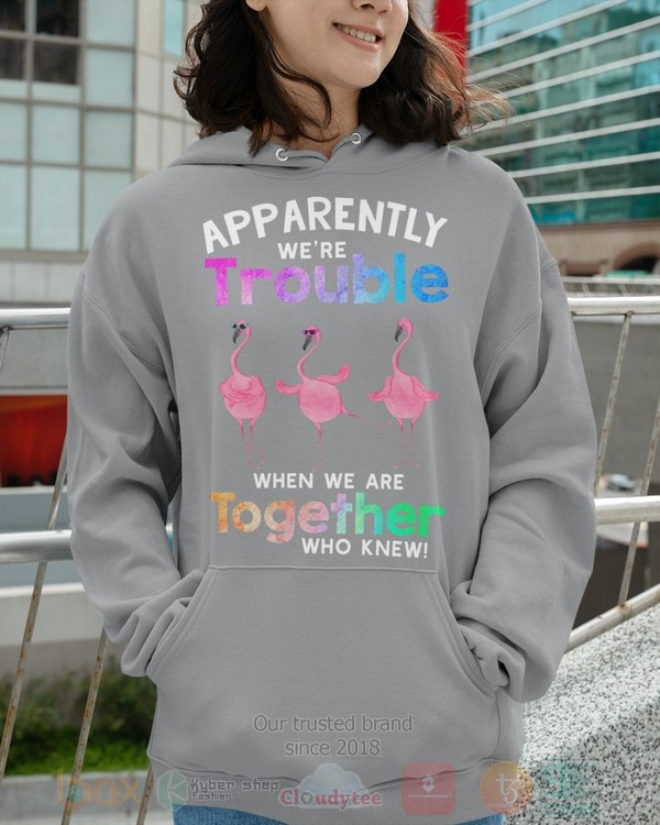 BEST Flamingo Apparently Were Trouble When We Are To Gether Who Knew Unisex Hoodie, Shirt 9 Flamingo Apparently Were Trouble When We Are To Gether Who Knew Hoodie Shirt 1 2 3 4 5 6 7 8