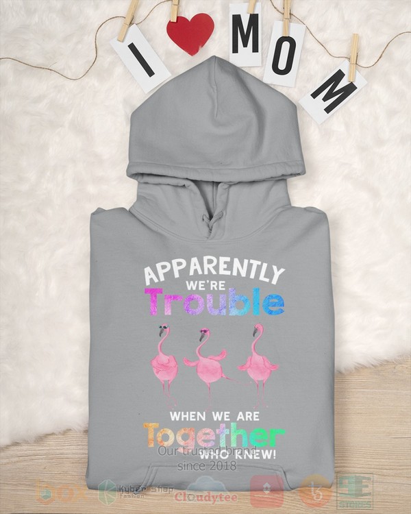 BEST Flamingo Apparently Were Trouble When We Are To Gether Who Knew Unisex Hoodie, Shirt 10 Flamingo Apparently Were Trouble When We Are To Gether Who Knew Hoodie Shirt 1 2 3 4 5 6 7 8 9