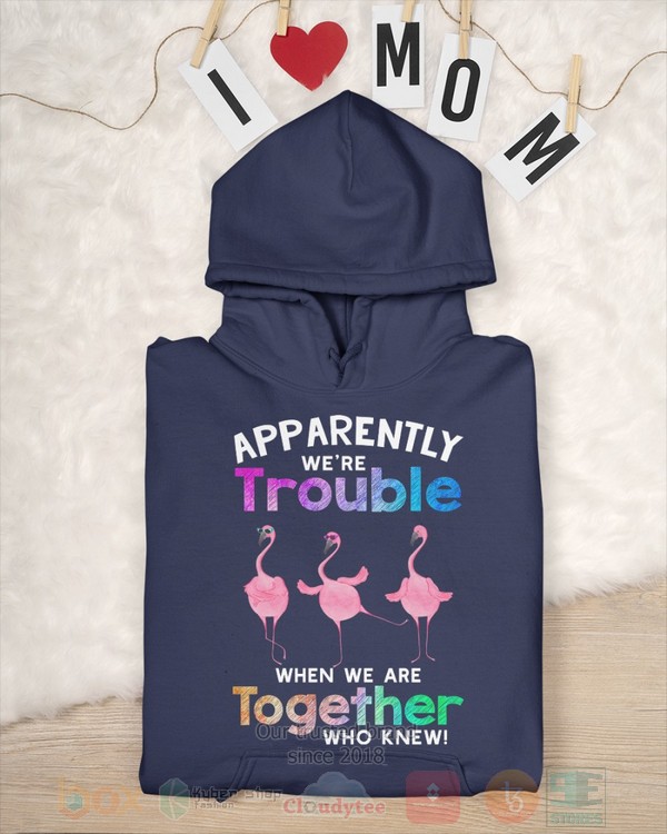 BEST Flamingo Apparently Were Trouble When We Are To Gether Who Knew Unisex Hoodie, Shirt 11 Flamingo Apparently Were Trouble When We Are To Gether Who Knew Hoodie Shirt 1 2 3 4 5 6 7 8 9 10