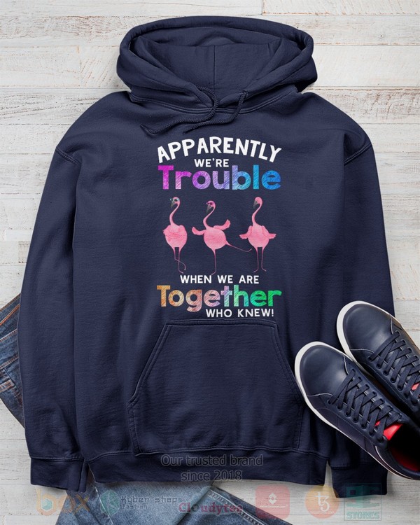 BEST Flamingo Apparently Were Trouble When We Are To Gether Who Knew Unisex Hoodie, Shirt 12 Flamingo Apparently Were Trouble When We Are To Gether Who Knew Hoodie Shirt 1 2 3 4 5 6 7 8 9 10 11
