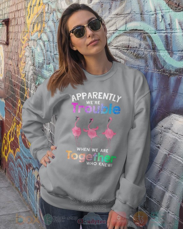 BEST Flamingo Apparently Were Trouble When We Are To Gether Who Knew Unisex Hoodie, Shirt 16 Flamingo Apparently Were Trouble When We Are To Gether Who Knew Hoodie Shirt 1 2 3 4 5 6 7 8 9 10 11 12 13 14 15