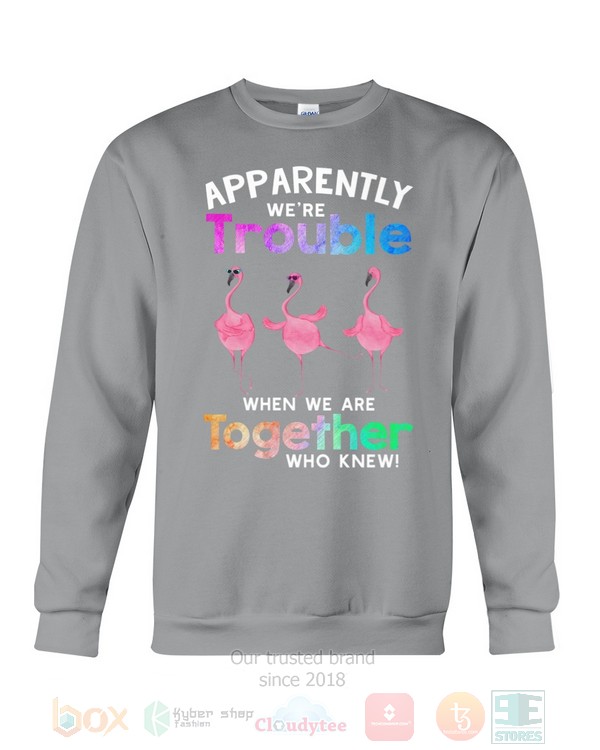 BEST Flamingo Apparently Were Trouble When We Are To Gether Who Knew Unisex Hoodie, Shirt 17 Flamingo Apparently Were Trouble When We Are To Gether Who Knew Hoodie Shirt 1 2 3 4 5 6 7 8 9 10 11 12 13 14 15 16