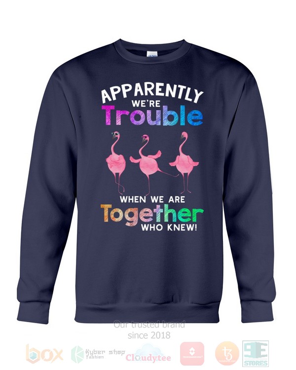 BEST Flamingo Apparently Were Trouble When We Are To Gether Who Knew Unisex Hoodie, Shirt 18 Flamingo Apparently Were Trouble When We Are To Gether Who Knew Hoodie Shirt 1 2 3 4 5 6 7 8 9 10 11 12 13 14 15 16 17
