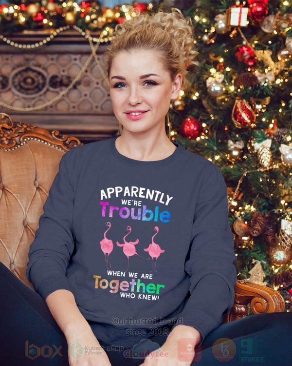 BEST Flamingo Apparently Were Trouble When We Are To Gether Who Knew Unisex Hoodie, Shirt 19 Flamingo Apparently Were Trouble When We Are To Gether Who Knew Hoodie Shirt 1 2 3 4 5 6 7 8 9 10 11 12 13 14 15 16 17 18