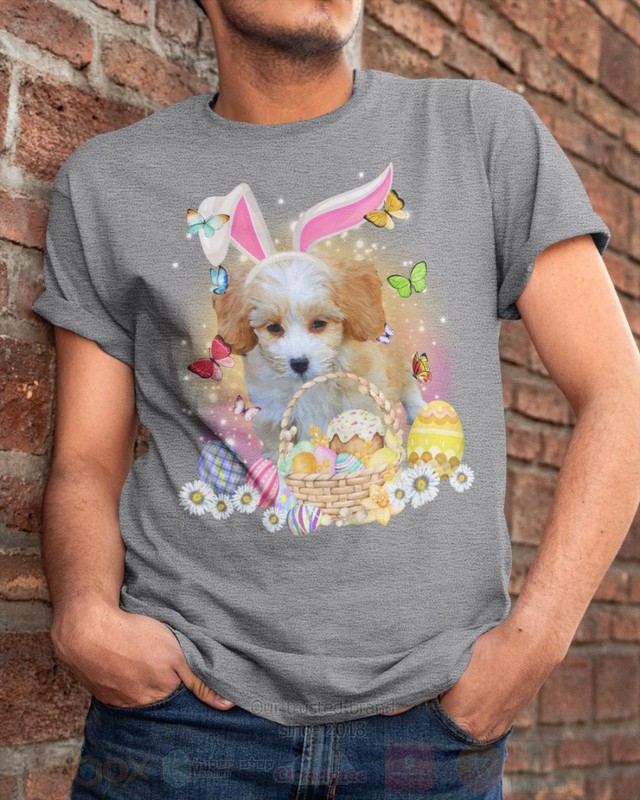 BEST Shih-Poo Easter Bunny-Butterfly 2D Shirt, Hoodie 4 Shih Poo Easter Bunny Butterfly 2D Hoodie Shirt 1 2 3