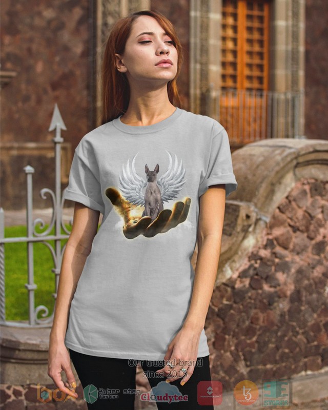HOT Xoloitzcuintli Golden Hand Heaven Wings 2D shirt, hoodie 3 Xoloitzcuintli Golden Hand Heaven Wings 2D shirt hoodie 1 2