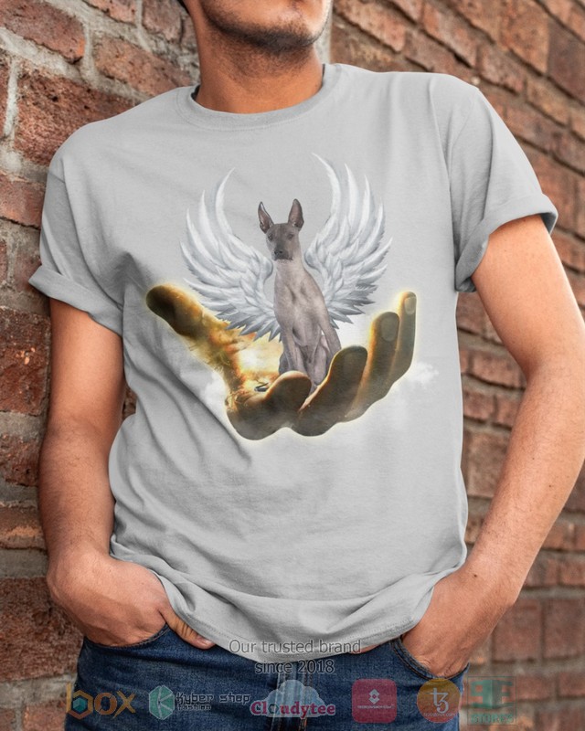 HOT Xoloitzcuintli Golden Hand Heaven Wings 2D shirt, hoodie 4 Xoloitzcuintli Golden Hand Heaven Wings 2D shirt hoodie 1 2 3