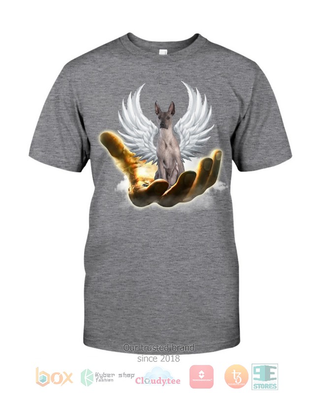 HOT Xoloitzcuintli Golden Hand Heaven Wings 2D shirt, hoodie 5 Xoloitzcuintli Golden Hand Heaven Wings 2D shirt hoodie 1 2 3 4