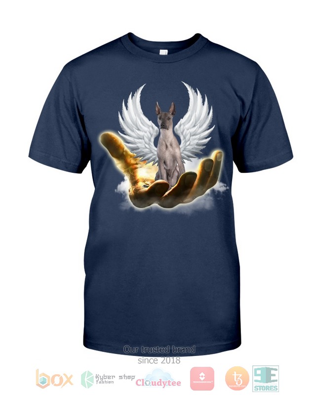 HOT Xoloitzcuintli Golden Hand Heaven Wings 2D shirt, hoodie 9 Xoloitzcuintli Golden Hand Heaven Wings 2D shirt hoodie 1 2 3 4 5 6 7 8