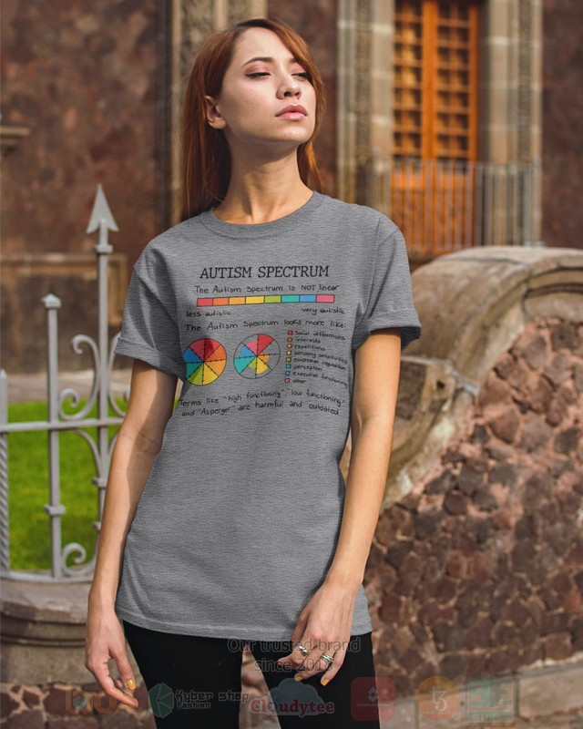 Autism Spectrum Hoodie Shirt 1