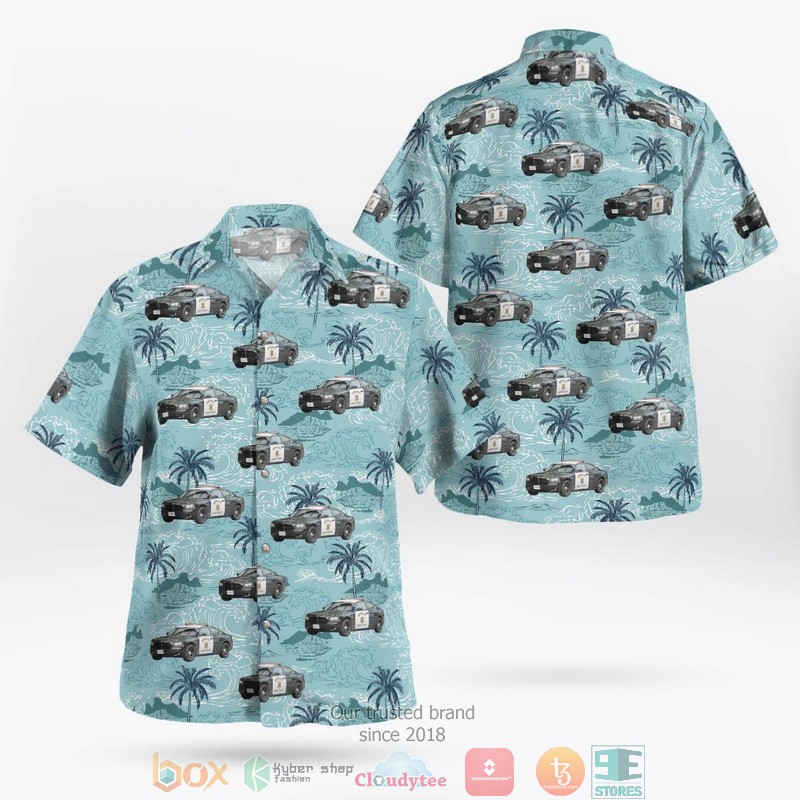 Albany County New York Albany County Sheriff Dodge Charger Hawaiian shirt 9 Albany County New York Albany County Sheriff Dodge Charger Hawaiian shirt word1