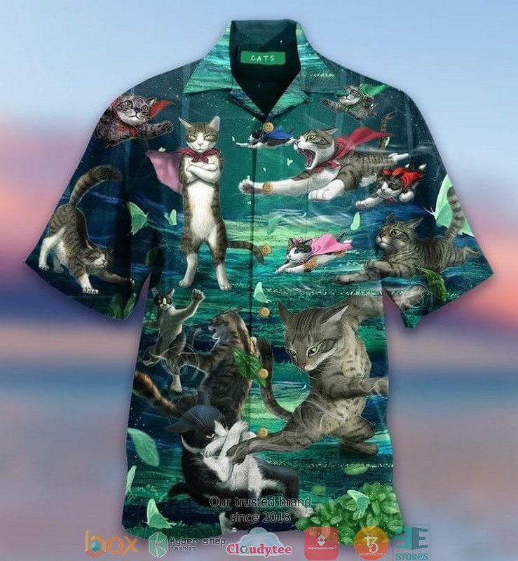 Cat Meow Kung Fu Short Sleeve Hawaiian Shirt 2 Cat Meow Kung Fu Short Sleeve Hawaiian Shirt