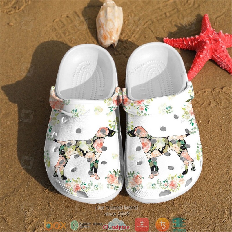 Labrador Crocband Clogs