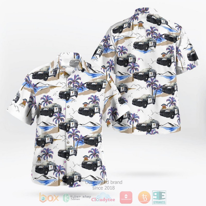 HOT Minnesota Cold Spring Richmond Police Dept Hawaii Shirt 1 Minnesota Cold Spring Richmond Police Dept Hawaiian Shirt