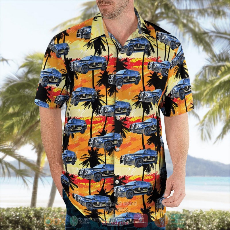 BEST South Carolina Colleton-County Office Car Hawaii Shirt 4 South Carolina Colleton County Office Car Hawaiian Shirt 1 2 3