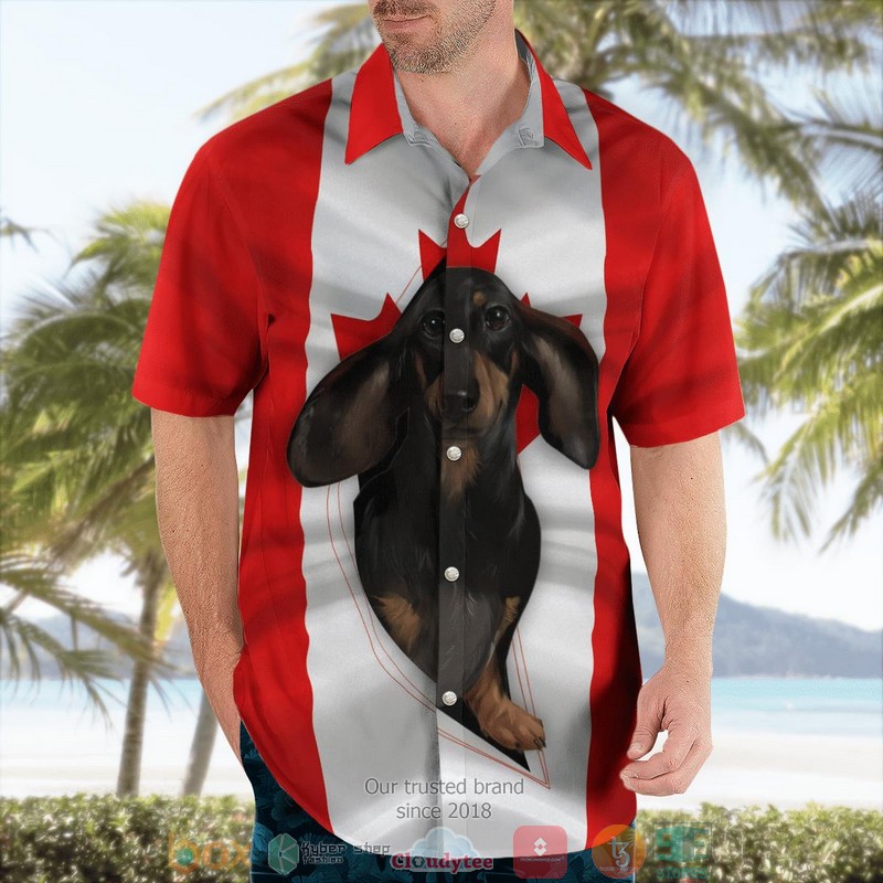 Canada Day Dachshund Flag Hawaiian Shirt 3 Canada Day Dachshund Flag Hawaiian Shirt word3