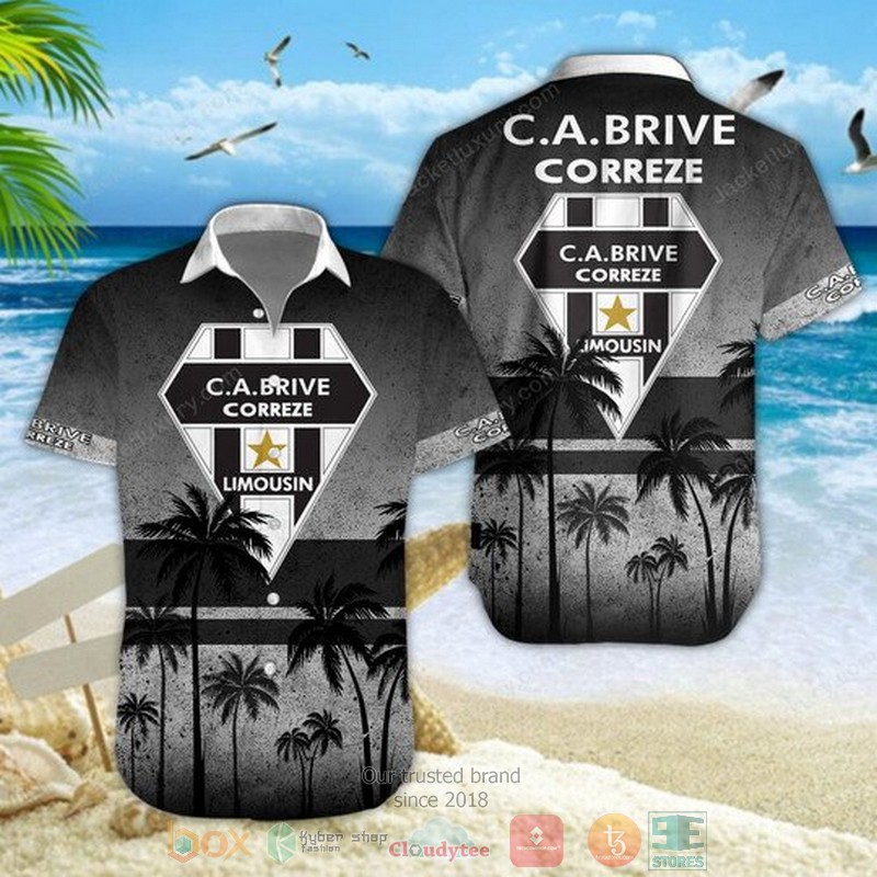 HOT CA Brive palm tree Hawaiian Shirt, Shorts word3