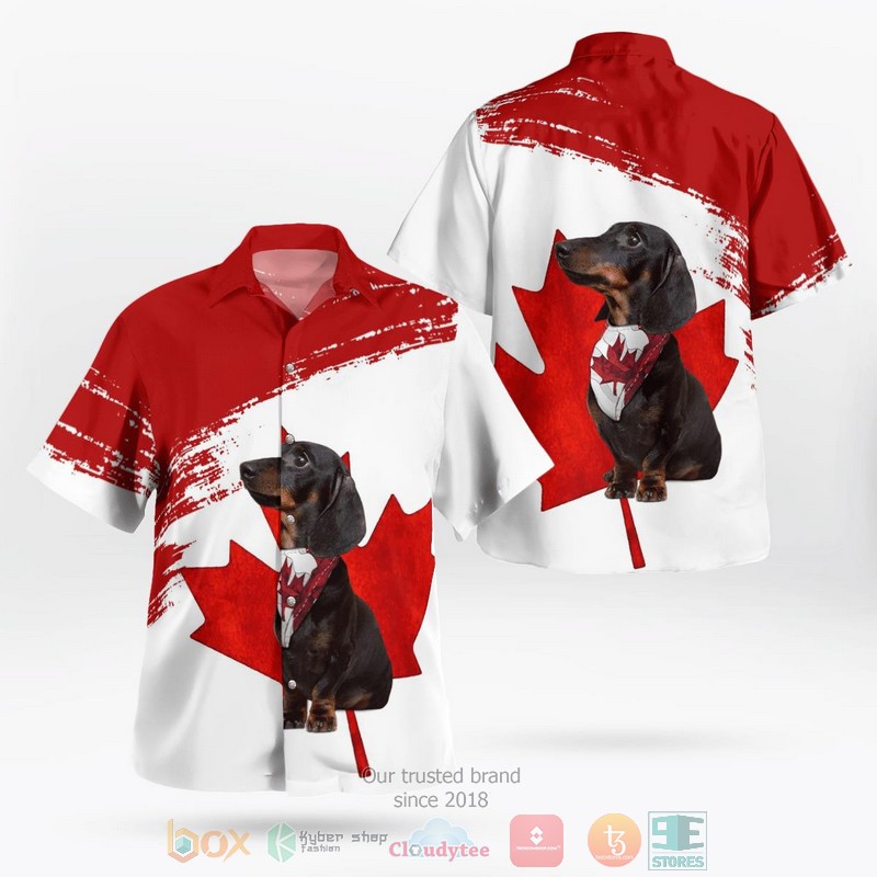 BEST Canada Day Dachshund Flag Hawaii Shirt word2
