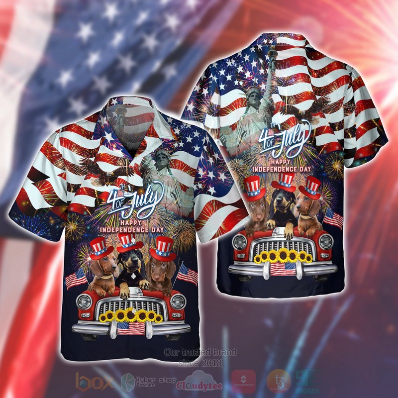 BEST Dachshund American 4th of July Happy Independence 3D Printing Shirt, Hoodie word3