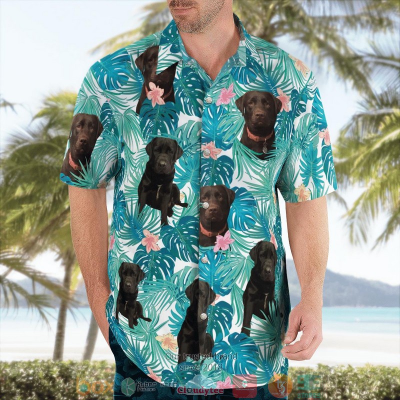 Dog Hawaiian Shirt 3 Dog Hawaiian Shirt word2