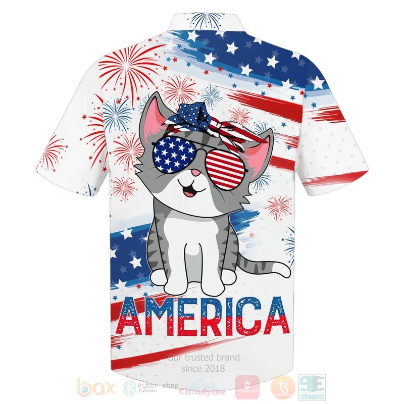 BEST Flag Cat Cute US Independence Day All Over Print Shirt, Hoodie word1