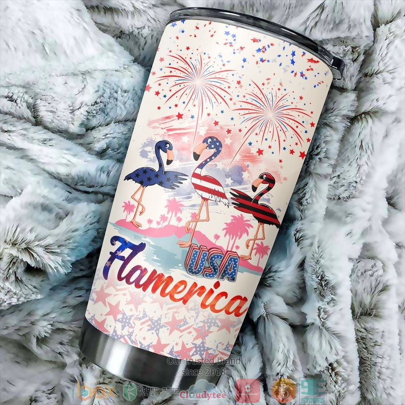 Flamerica USA firework America Independence day Tumbler