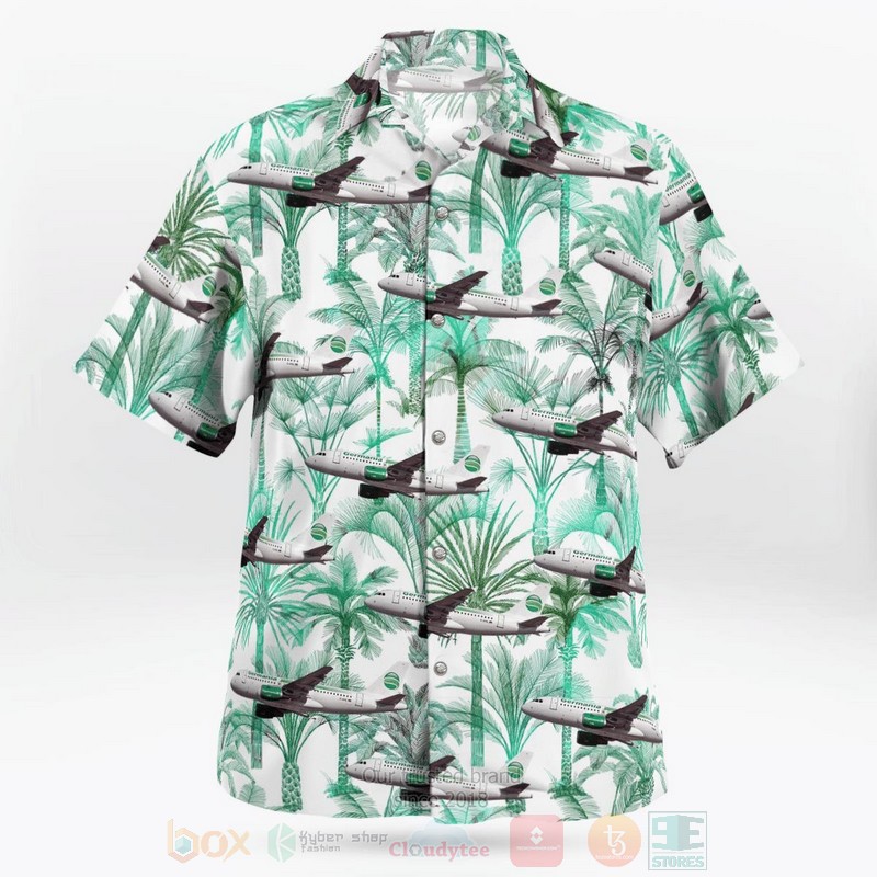 BEST Germania airline Airbus A319-13D Aloha Shirt 2 BEST Germania airline Airbus A319-13D Aloha Shirt word2