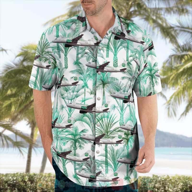 BEST Germania airline Airbus A319-13D Aloha Shirt 3 BEST Germania airline Airbus A319-13D Aloha Shirt word2