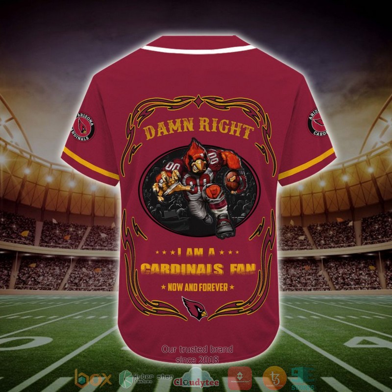 Personalized Arizona Cardinals Mascot NFL Baseball Jersey Shirt 3 Personalized Arizona Cardinals Mascot NFL Baseball Jersey Shirt word1